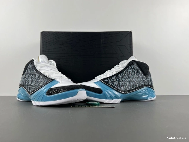 MaikeSneakers 23 Jordan 318376-041 UNC 0808